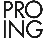 Pro Ing Group logo